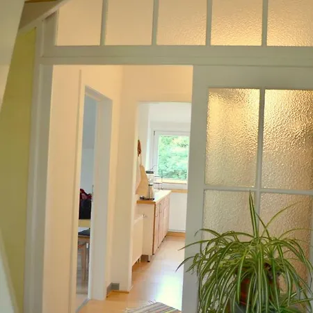 Frings In Appartement