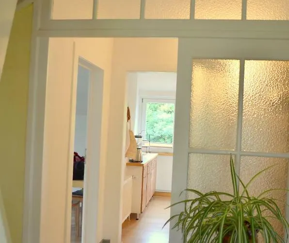 Frings In Apartament